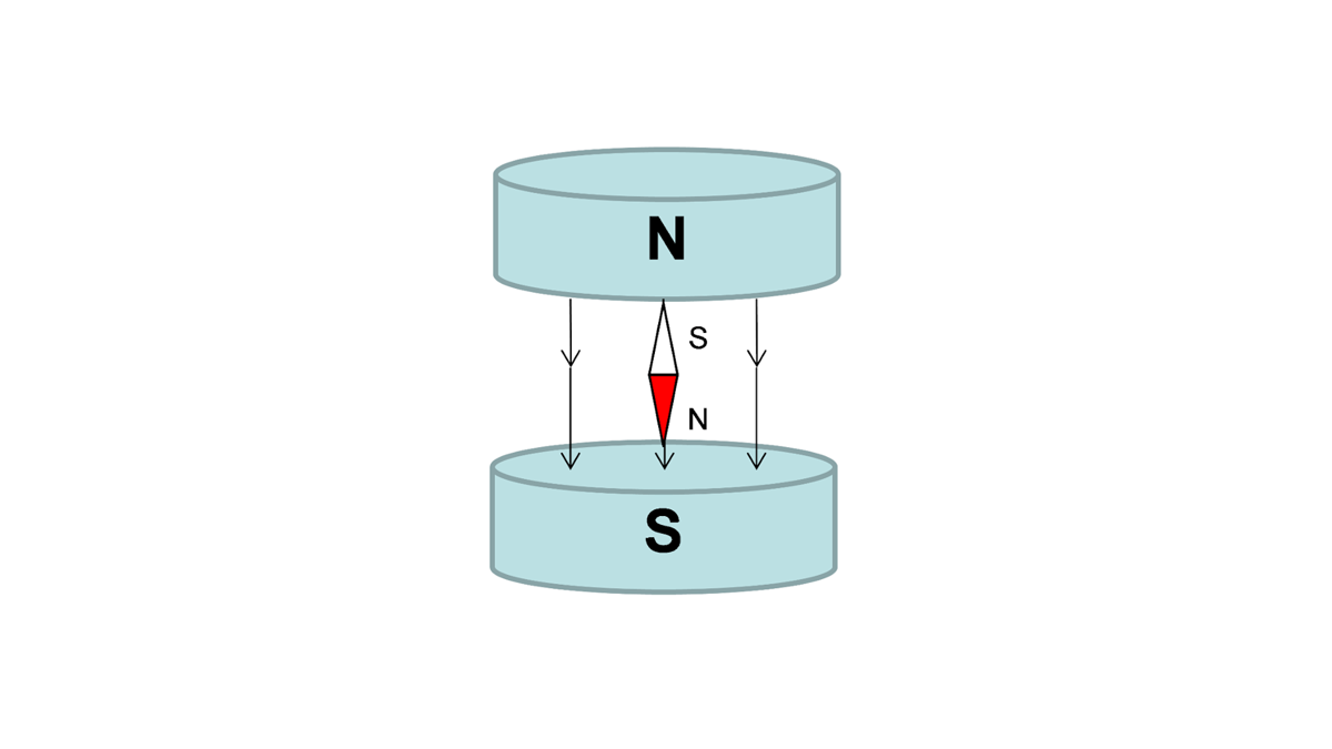 What is a B Field?
